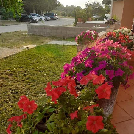 Apartmani Ruza Novalja Kültér fotó